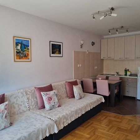 Studio Apartman Zvezdana Noc Vrnjačka Banja エクステリア 写真