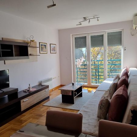 Studio Apartman Zvezdana Noc Vrnjačka Banja エクステリア 写真