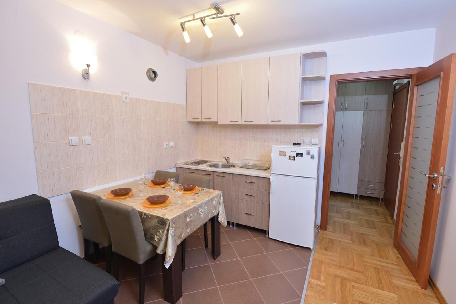 Studio Apartman Zvezdana Noc Vrnjačka Banja エクステリア 写真