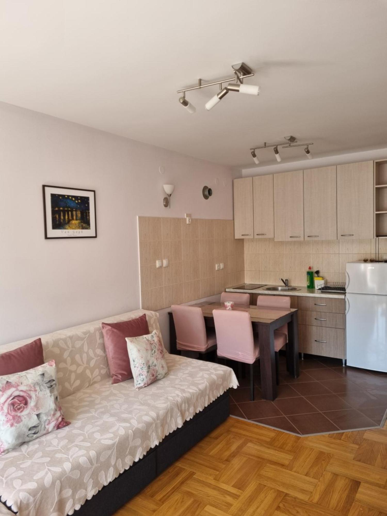 Studio Apartman Zvezdana Noc Vrnjačka Banja エクステリア 写真